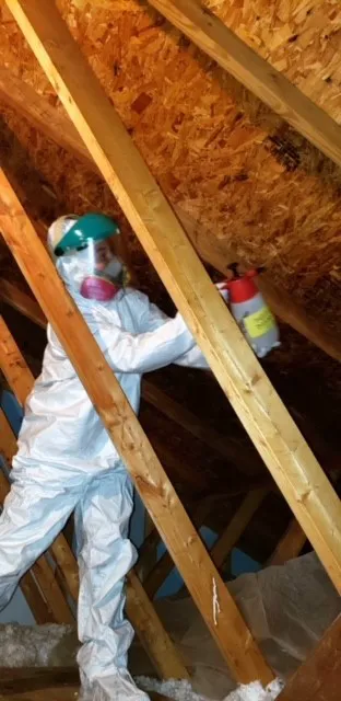 Absolute LLC Picture 1