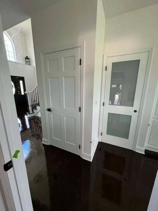 Roman Paint Pros Picture 4