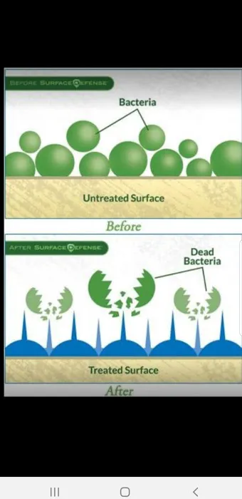 Biosweep Ohkentuckiana Picture 2
