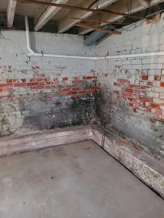 Ahold of Mold Picture 8