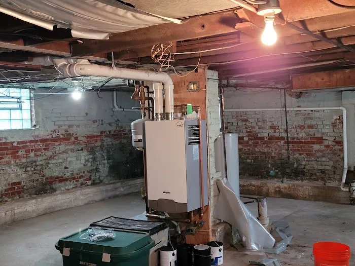 Ahold of Mold Picture 2