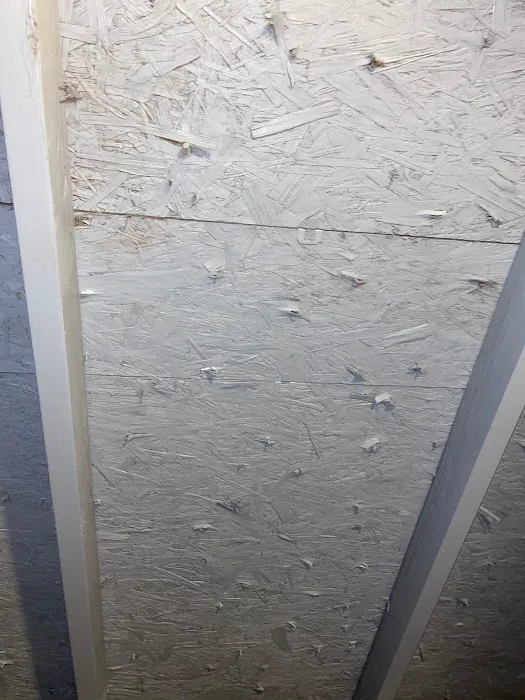 Ahold of Mold Picture 10