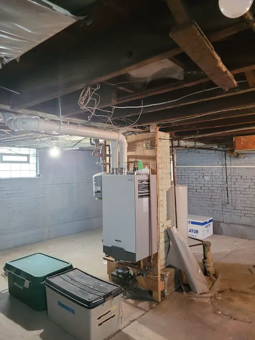 Ahold of Mold Picture 9