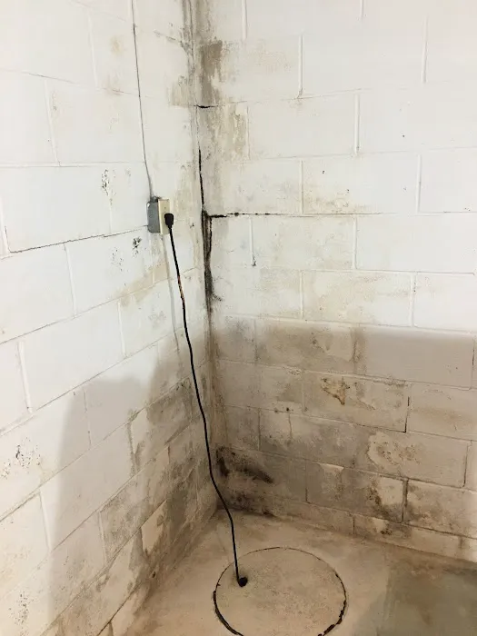 Ahold of Mold Picture 7