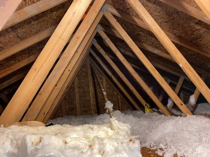 Ahold of Mold Picture 4