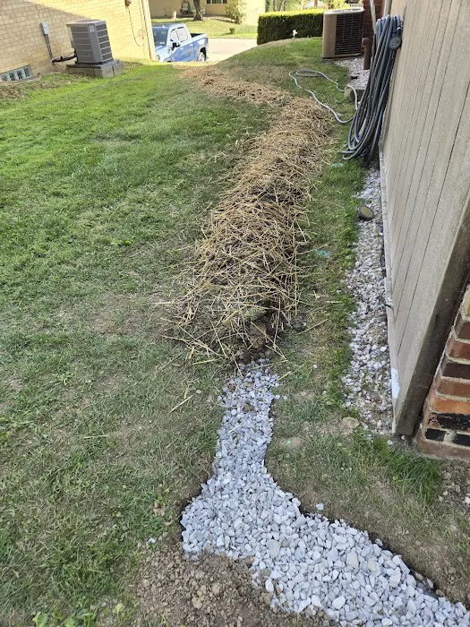 D-Bug Waterproofing Picture 1