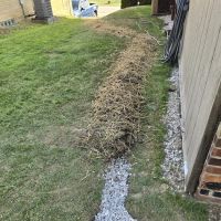 D-Bug Waterproofing ico