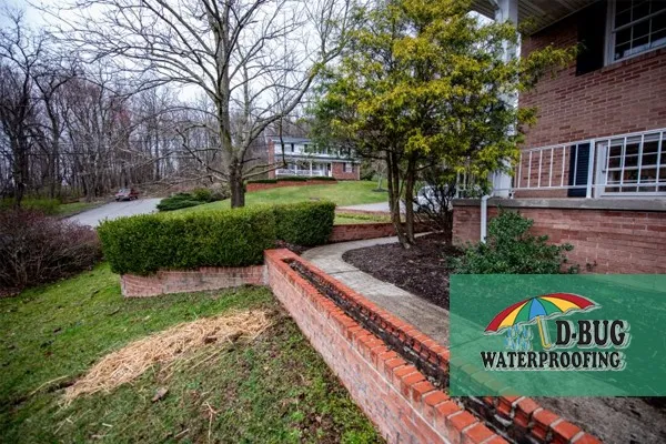 D-Bug Waterproofing Picture 3