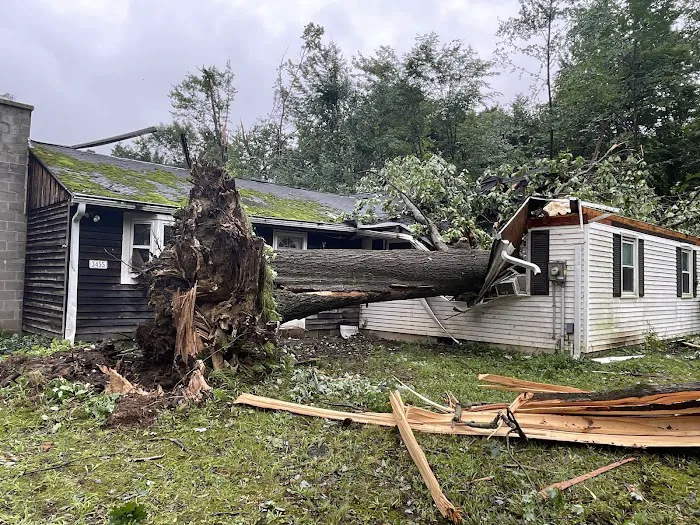 Disaster Relief Picture 2