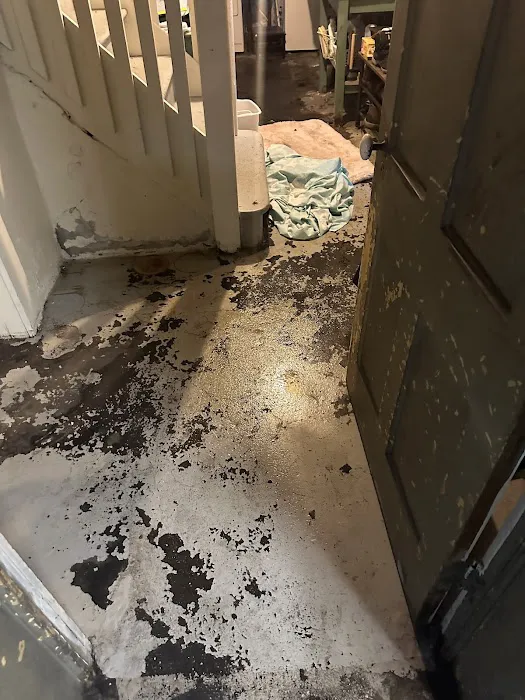 Green Genie LLC Picture 10