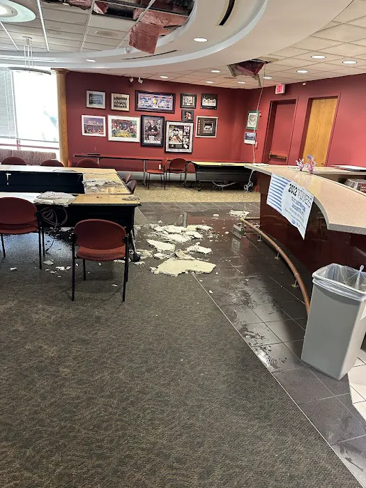 Green Genie LLC Picture 5