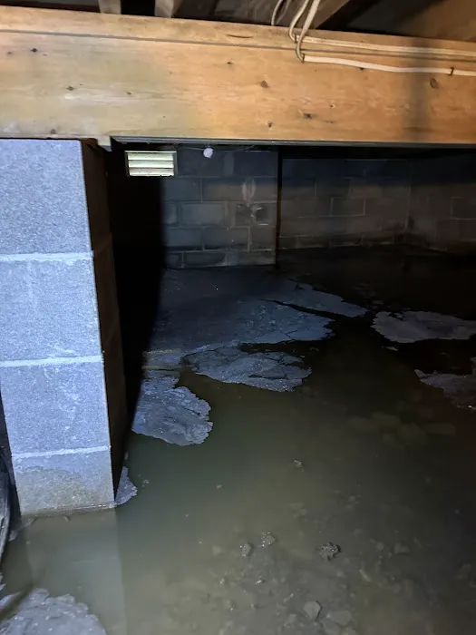 Pure Air Total Home Solutions LLC Picture 3