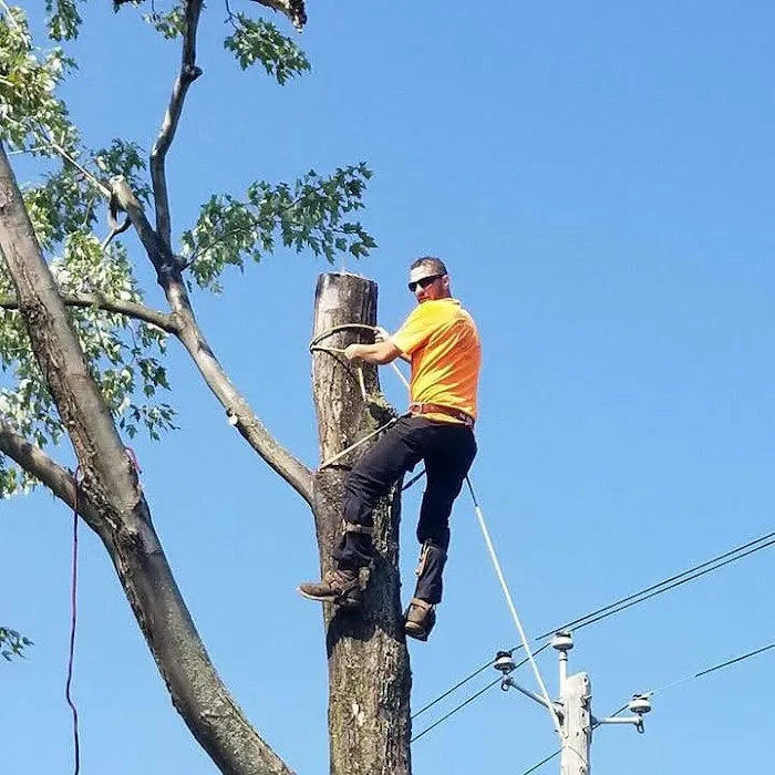 WNY GENERAL CONTRACTING LLC. Picture 2