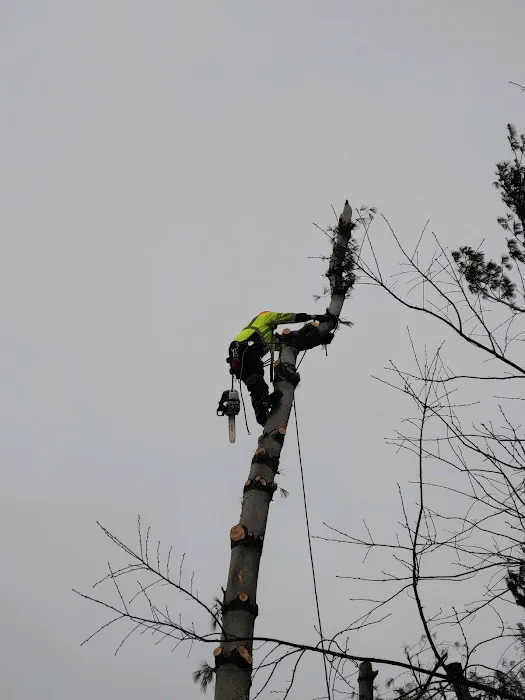 WNY GENERAL CONTRACTING LLC. Picture 4