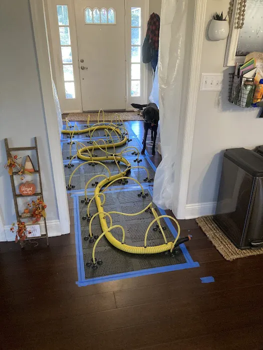 Rainbow International of Acme Picture 1