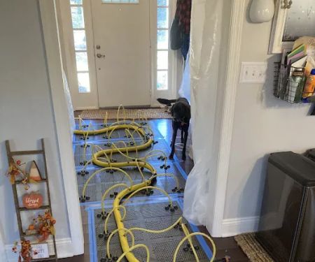 Rainbow International of Acme