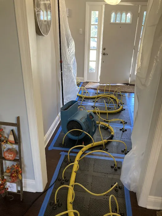 Rainbow International of Acme Picture 3