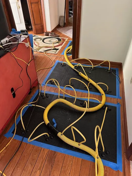 Rainbow International of Acme Picture 4