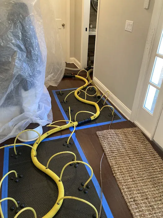 Rainbow International of Acme Picture 6