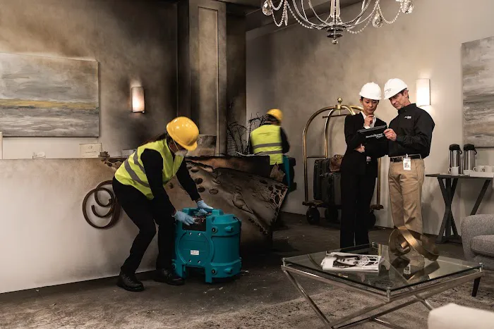 ServiceMaster Cleaning Specialists Picture 8