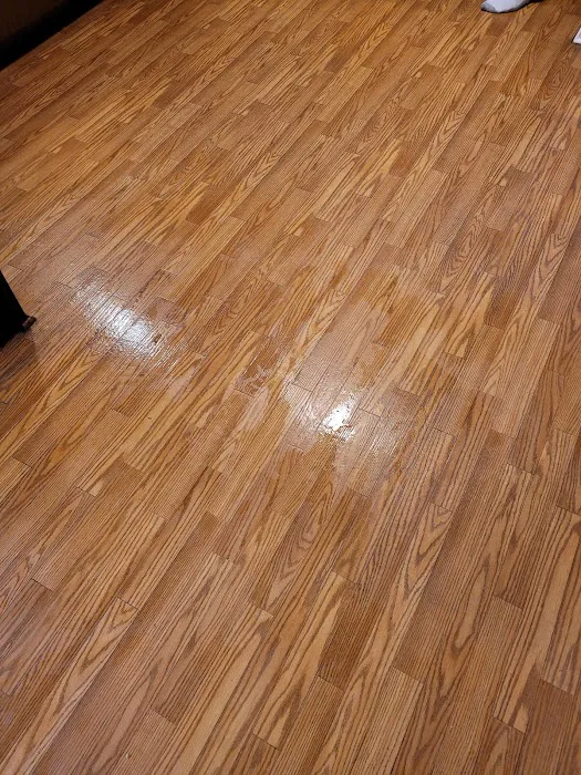 Stanley Steemer Picture 9