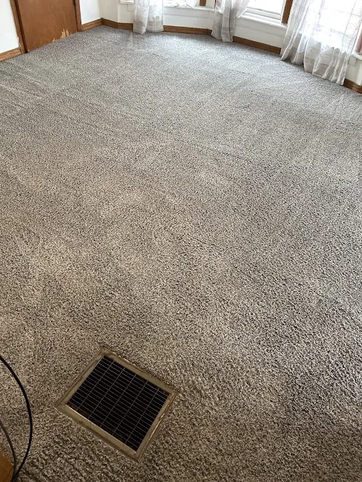 Stanley Steemer Picture 5