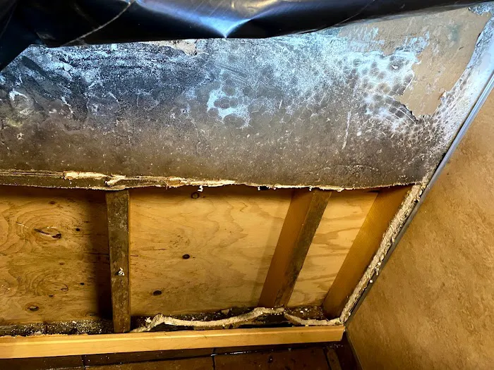 Buffalo Environmental & Construction Group Picture 5