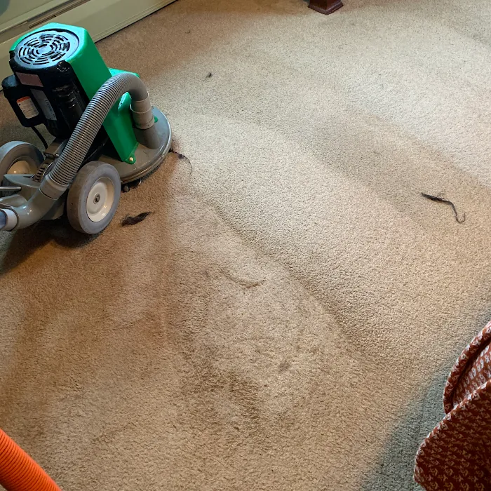 Chem-Dry of Buffalo Picture 4