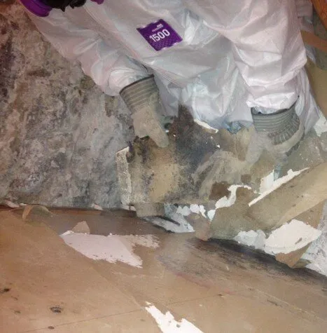 Great Lakes Abatement Co. Inc Picture 4