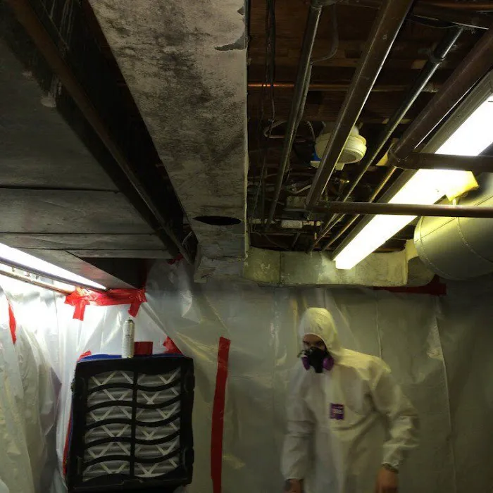 Great Lakes Abatement Co. Inc Picture 8