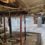 Frank's Basement Systems