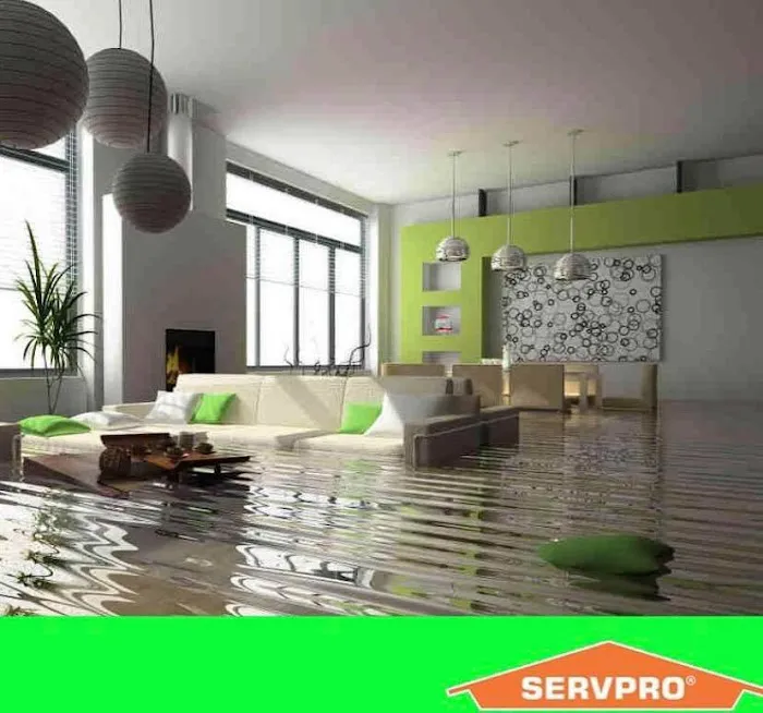 SERVPRO of East Erie County Picture 9