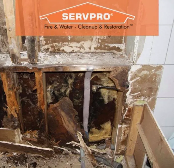 SERVPRO of East Erie County Picture 4
