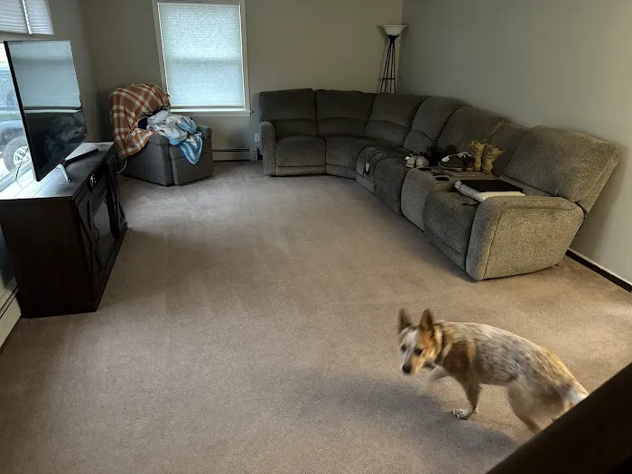 Aladdin's Carpet Cleaning - Buffalo NY Cleaner | Rug, Upholstery, Tile & Grout, Hardwood Floor Cleaning Services Picture 6