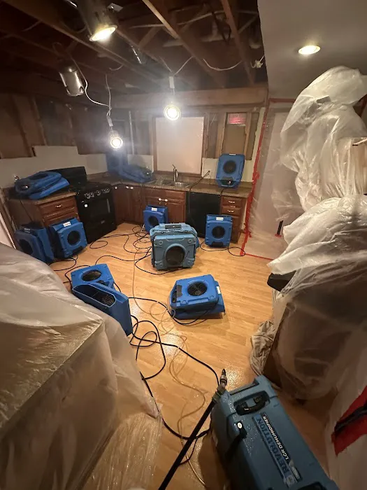 Water Cleanup Experts, Inc Picture 6