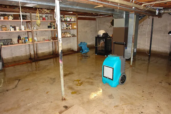 Water Cleanup Experts, Inc Picture 7