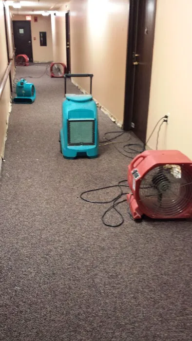Water Cleanup Experts, Inc Picture 8