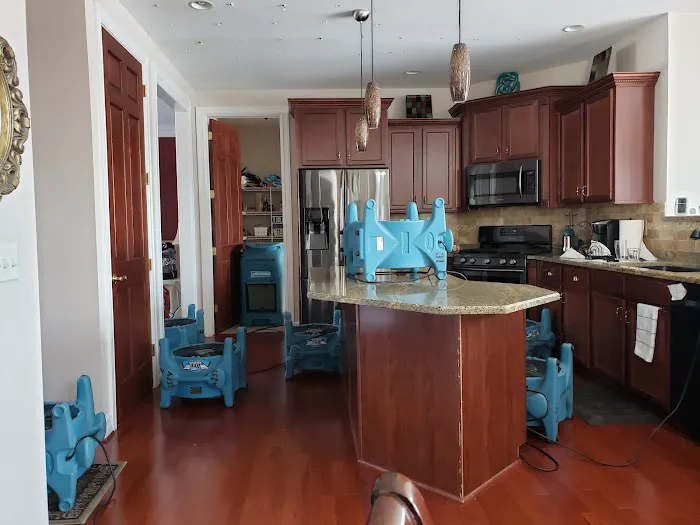 Water Cleanup Experts, Inc Picture 3