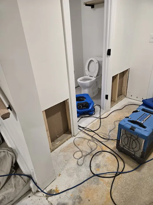 Water Cleanup Experts, Inc Picture 9