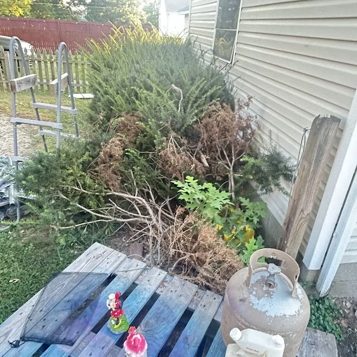 Epic Restoration, LLC Picture 1