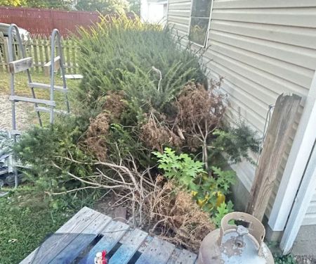 Epic Restoration, LLC