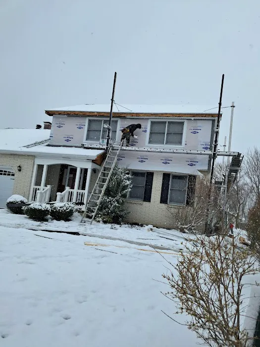 HIGH QUALITY CORP Picture 6