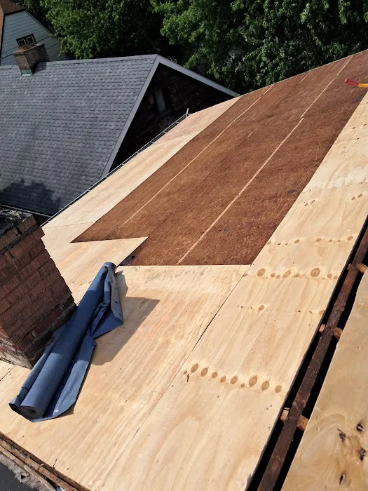 HIGH QUALITY CORP Picture 1