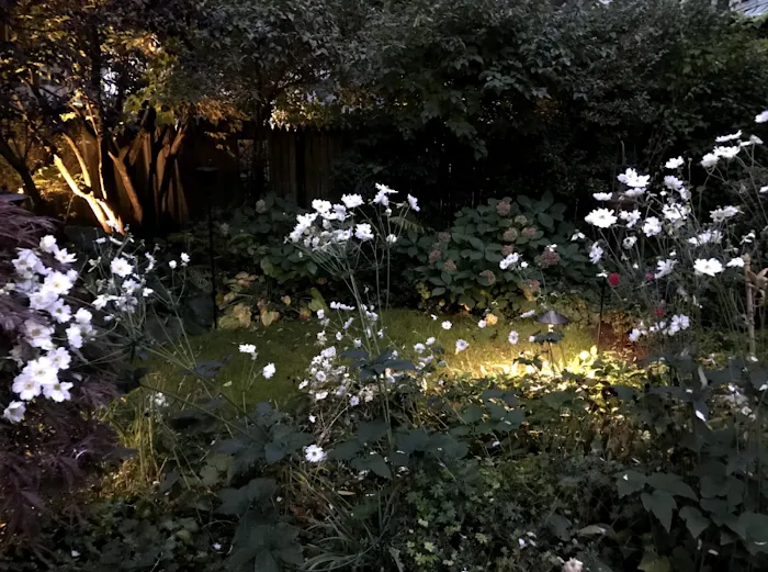 Aquaman Lawn Sprinklers Picture 9