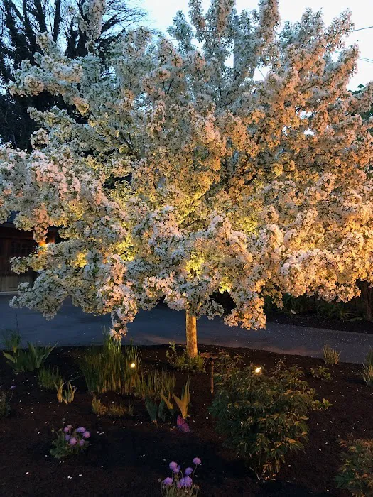 Aquaman Lawn Sprinklers Picture 2