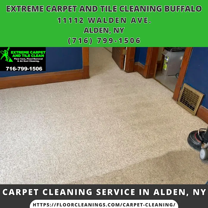 Extreme Carpet and Tile Cleaning Buffalo Picture 2