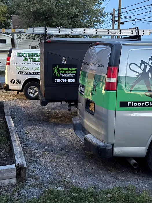 Extreme Carpet and Tile Cleaning Buffalo Picture 3