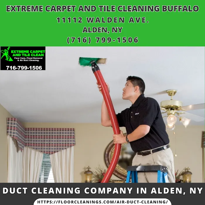 Extreme Carpet and Tile Cleaning Buffalo Picture 9