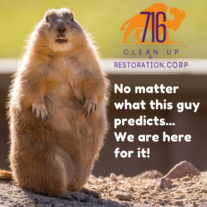 716 Clean Up & Restoration Picture 1