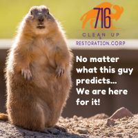 716 Clean Up & Restoration ico